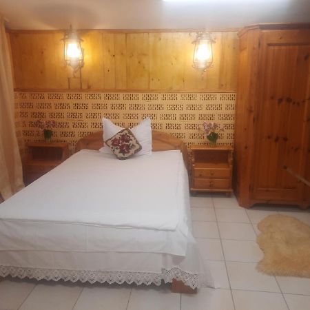 Apartament Pe Malul Raului Bega Timişoara Eksteriør billede