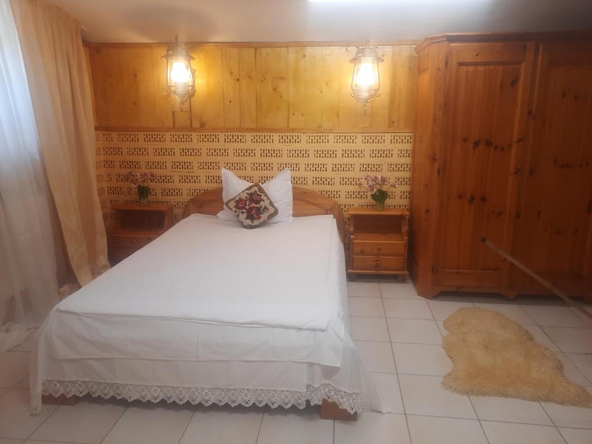 Apartament Pe Malul Raului Bega Timişoara Eksteriør billede